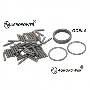 REVERSE IDLER BEARING KIT 830735M91